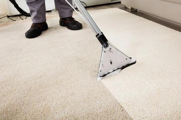 Carpet Cleaner Tacoma: Removing Dirt and Stains