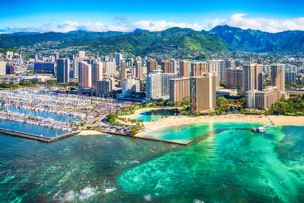 Crystal Waters Await Turtle Snorkeling Tours in Oahu