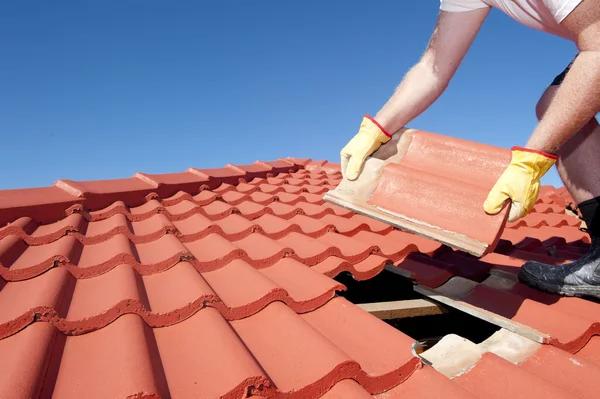Professional Logan Roofing Contractor Ensuring Durable and Safe Roofs