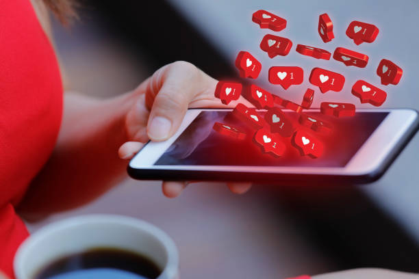 Fake Verification Steps in Instagram Private Viewer Platforms